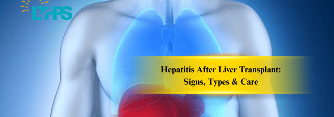 Hepatitis After Liver Transplant: Signs, Types & Care