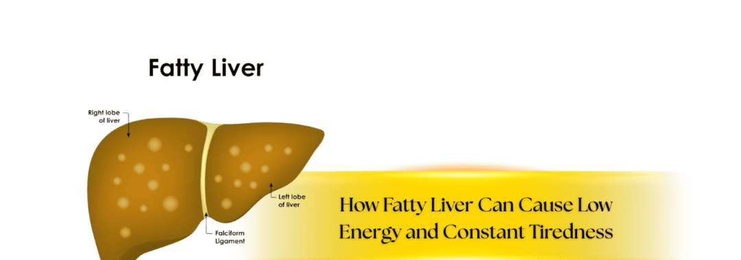 How Fatty Liver Can Cause Low Energy and Constant Tiredness (Website)