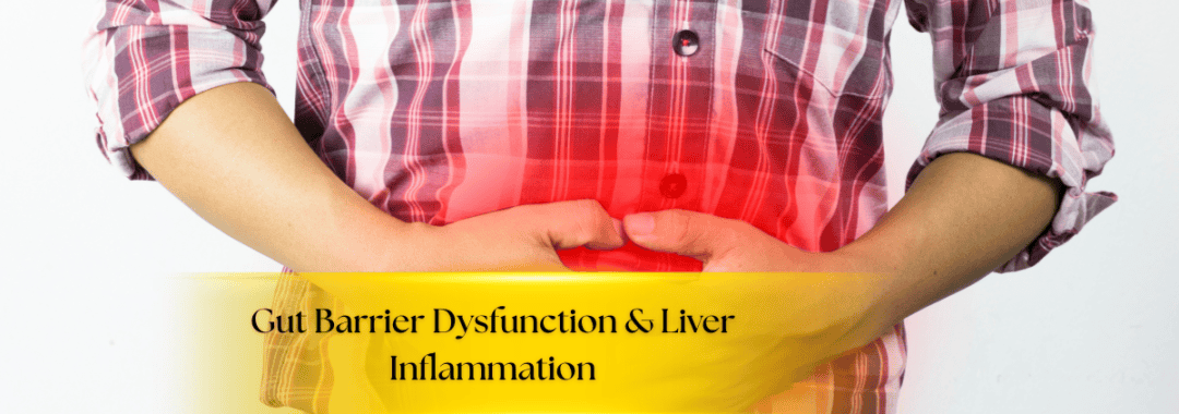 Gut Barrier Dysfunction & Liver Inflammation