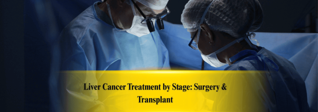 https://www.livertransplantinternational.com/liver-cancer-treatment-by-stage-surgery-transplant/